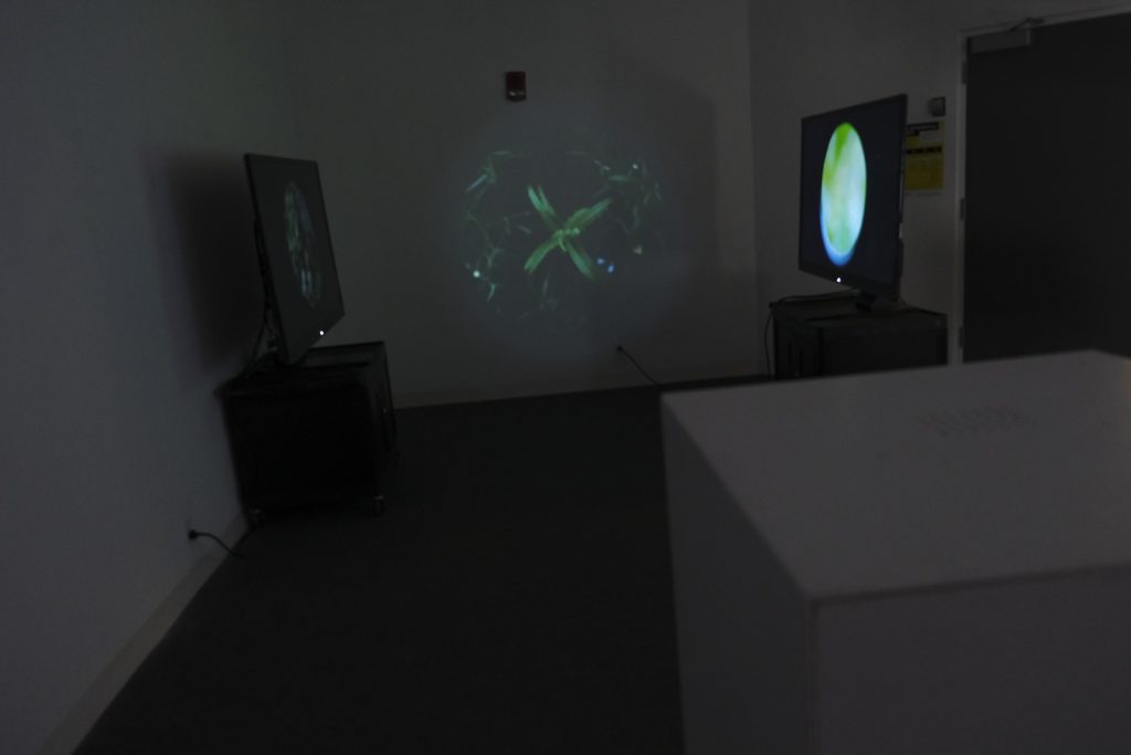 Wide View of All Channels